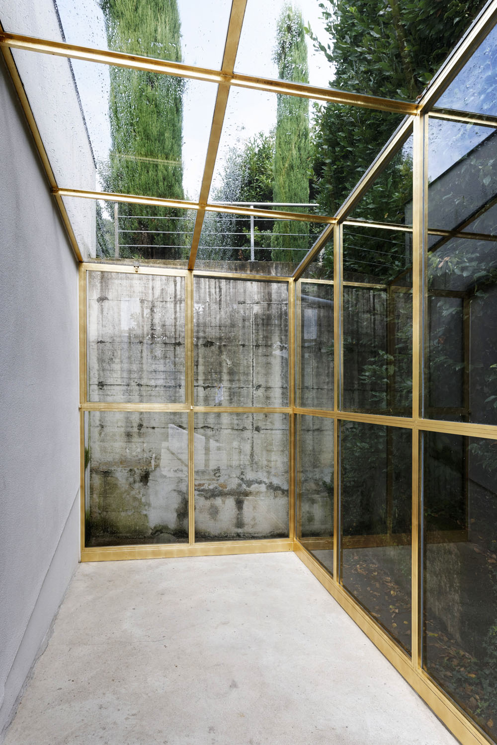 Exposition: "Flowers for you"Buchmann Galerie, Agra & Luganophoto by Remy Steinegger
