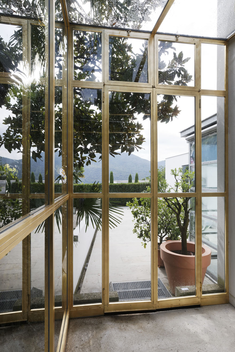 Exposition: "Flowers for you"Buchmann Galerie, Agra & Luganophoto by Remy Steinegger