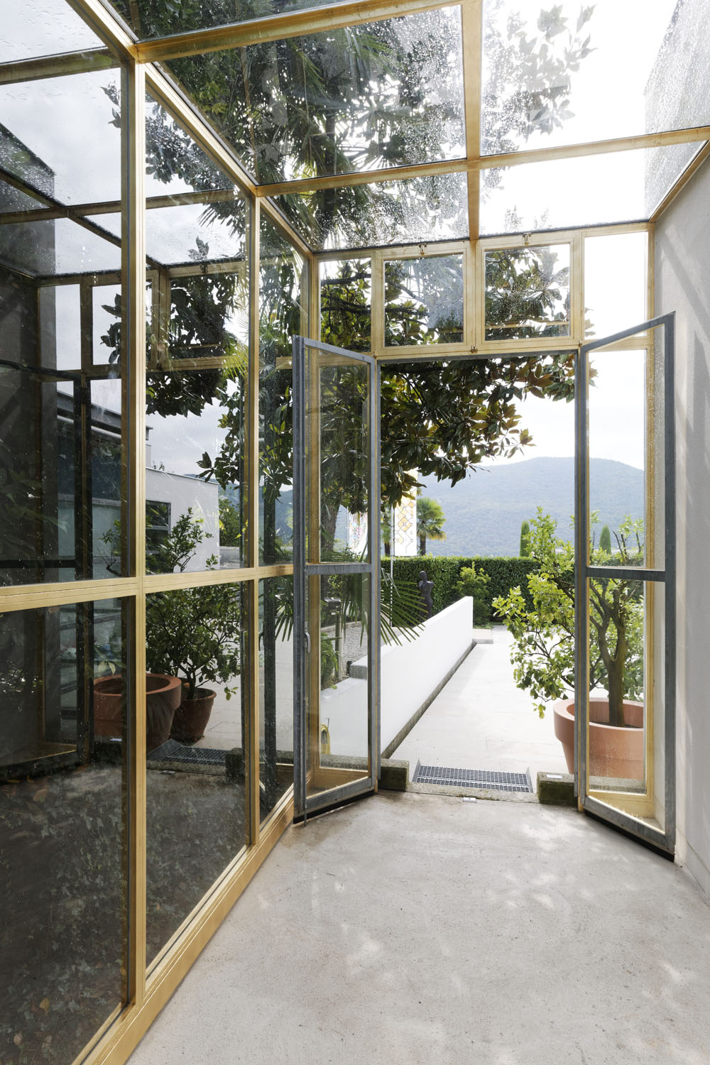 Exposition: "Flowers for you"Buchmann Galerie, Agra & Luganophoto by Remy Steinegger