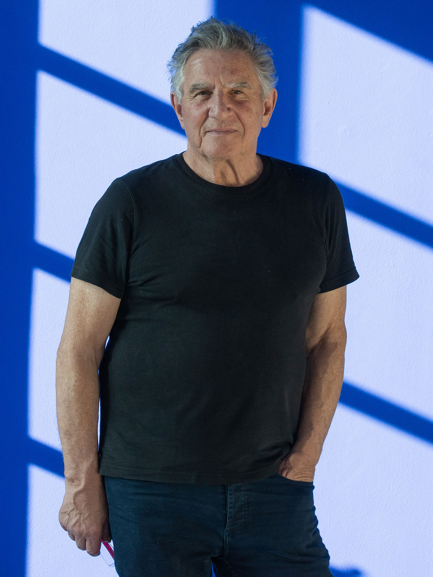 Felice Varini